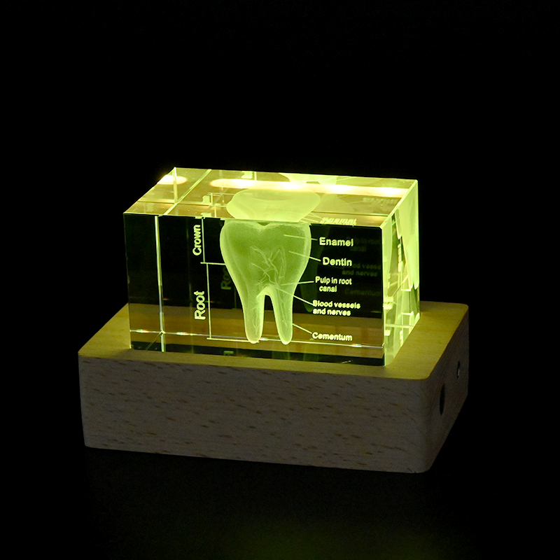 3d photo crystal with led light base 05