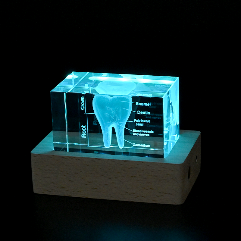 3d photo crystal with led light base​ 04