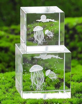 3d photo in crystal 03