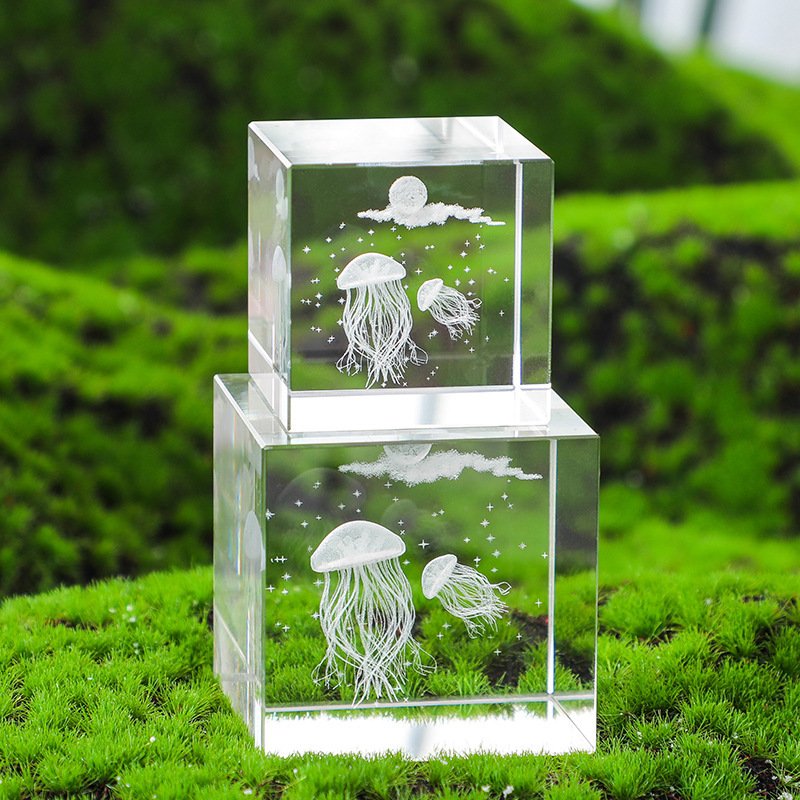 3d photo in crystal 04