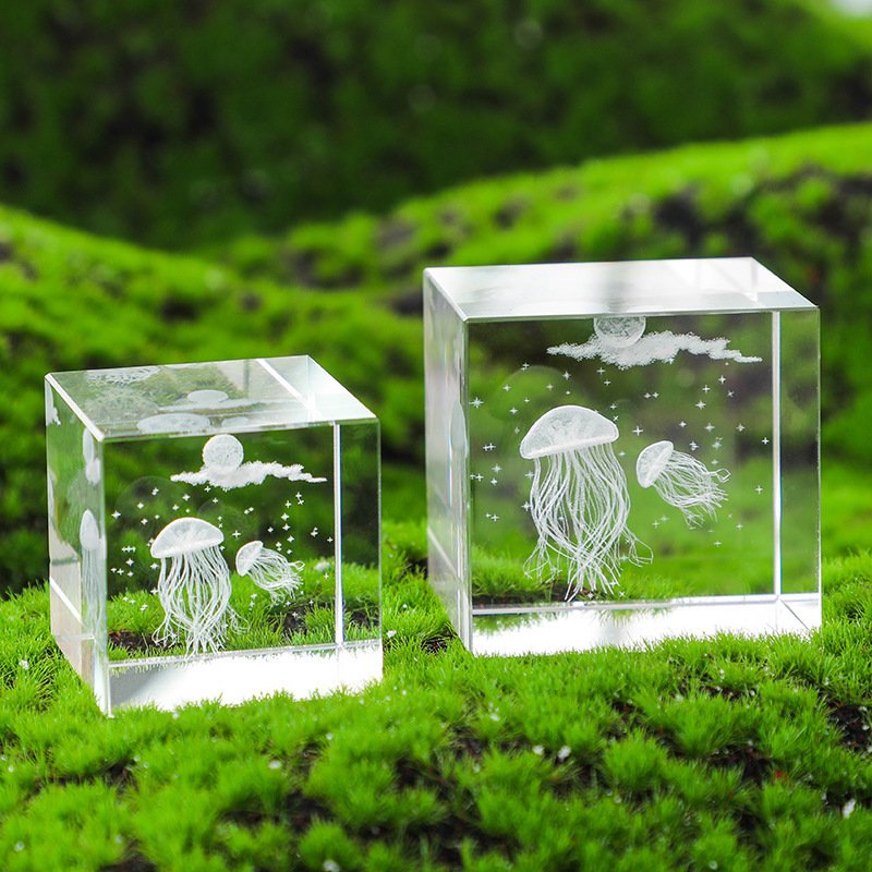 3d photo in crystal 05