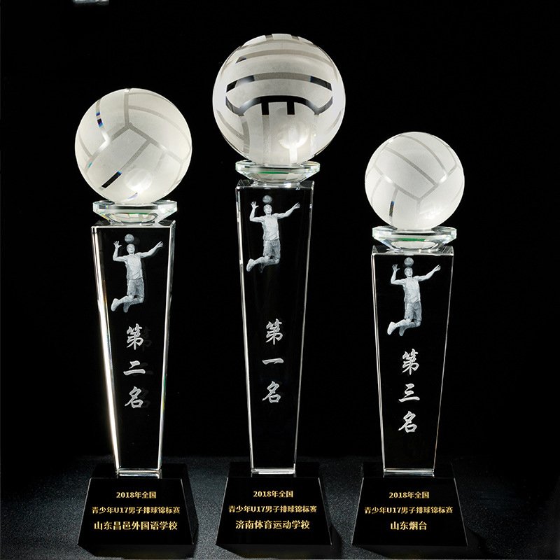 Volleyball Trophy 01