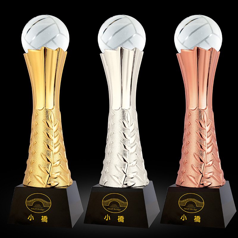 Volleyball Trophy 06