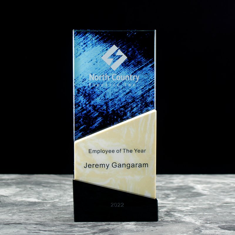 Outstanding Partner Trophy 05