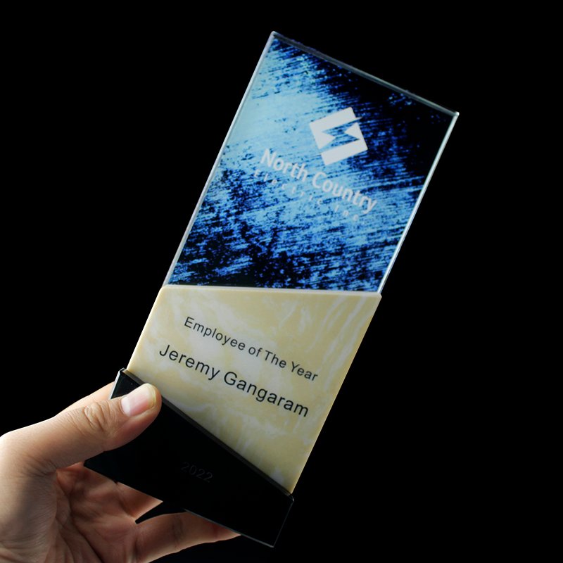 Outstanding Partner Trophy 06