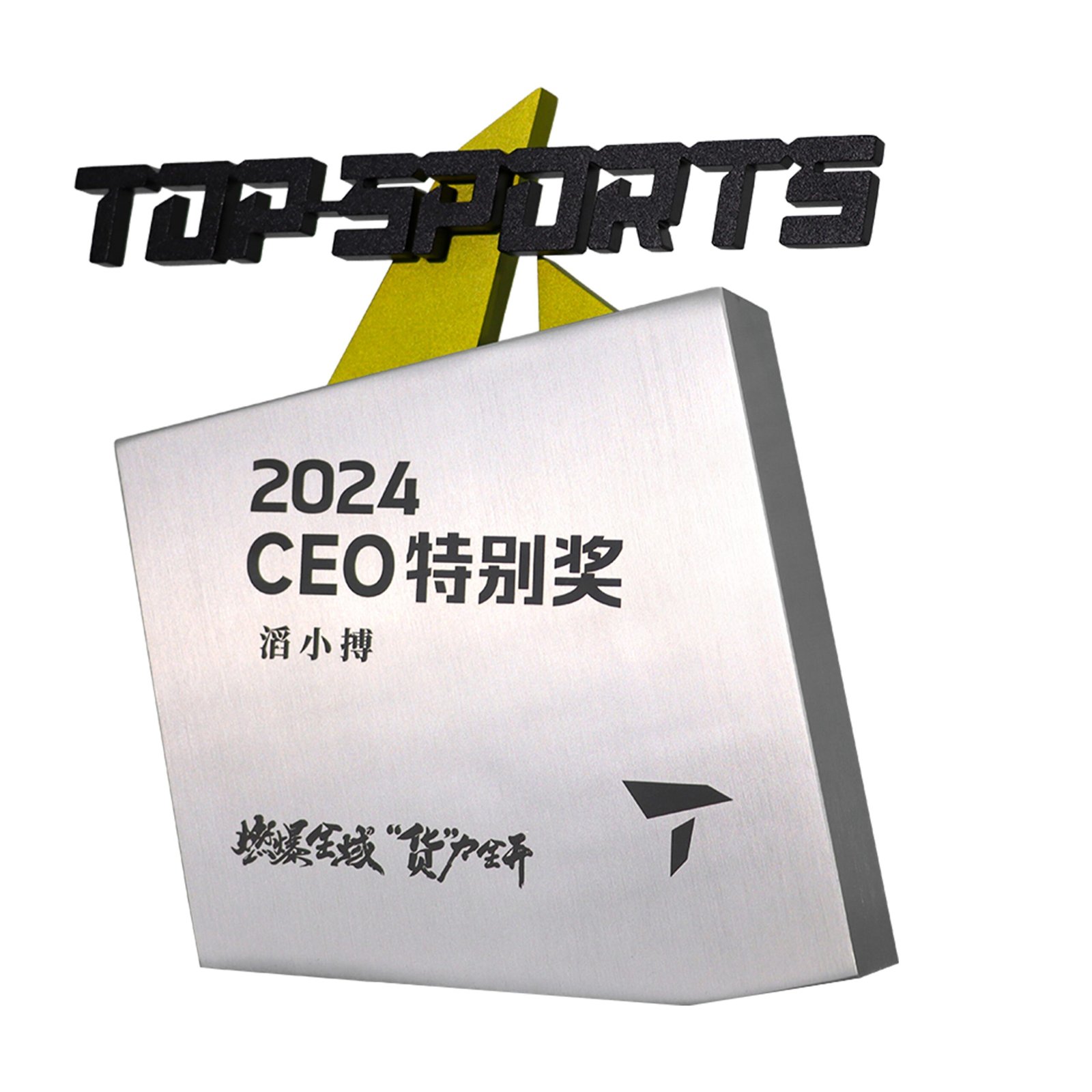 Martial arts trophy 06