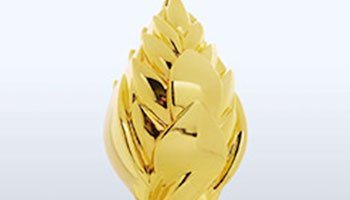 Polished gold plate