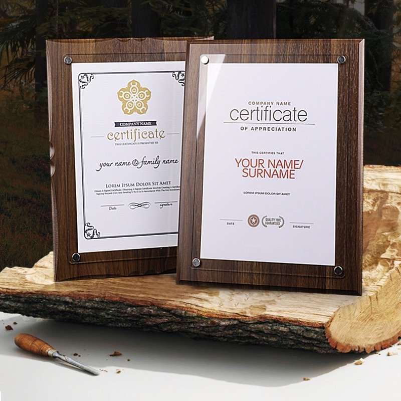 acrylic award plaques 28-5