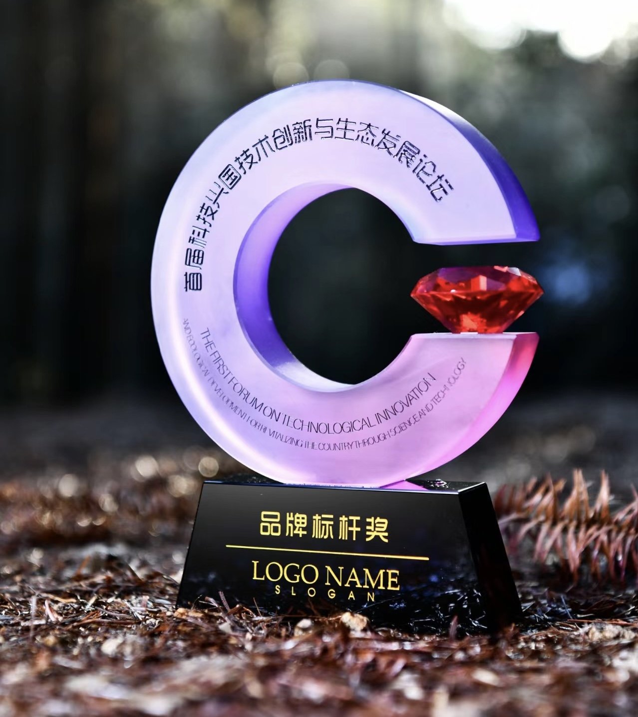 Crystal Award Custom 211