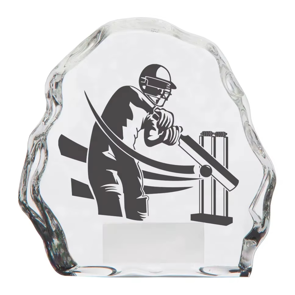 Cricket Trophy custom Supplier-02