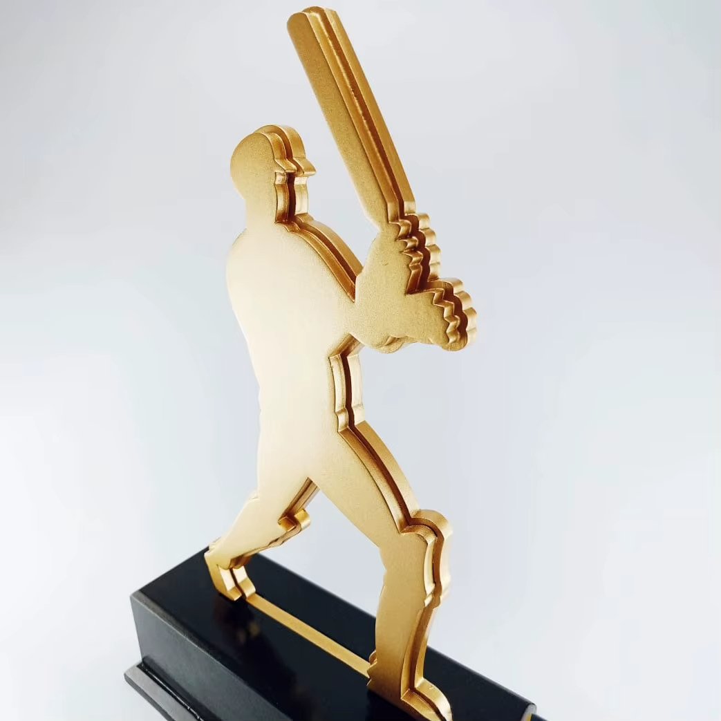 Cricket Trophy Manufacturer-03