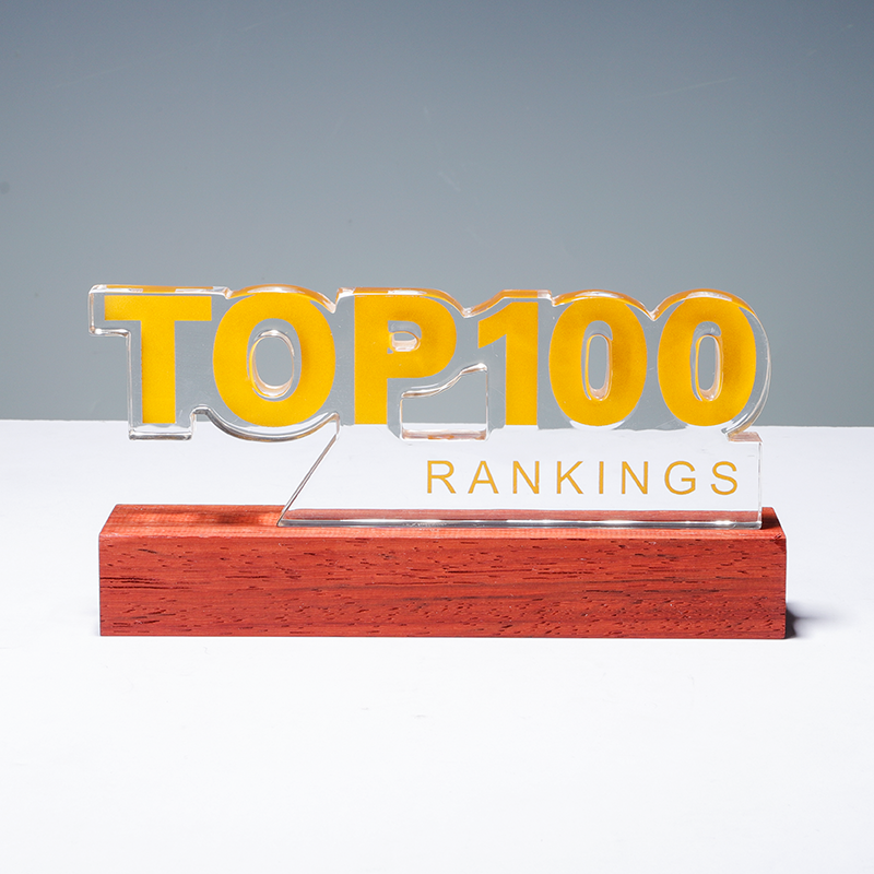 Custom acrylic annual awards​ 02