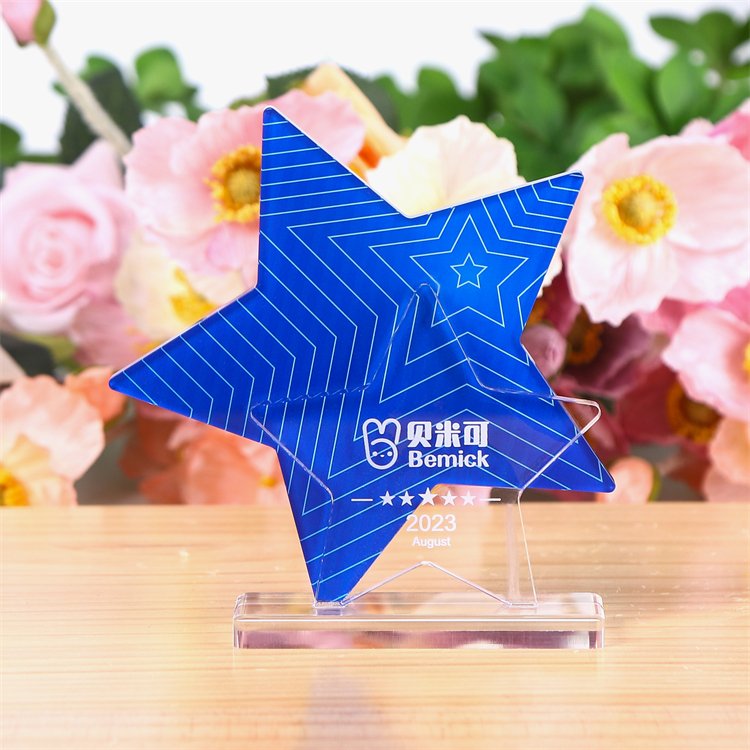 Custom acrylic star trophy​ 02