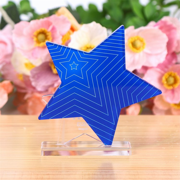 Custom acrylic star trophy​ 03
