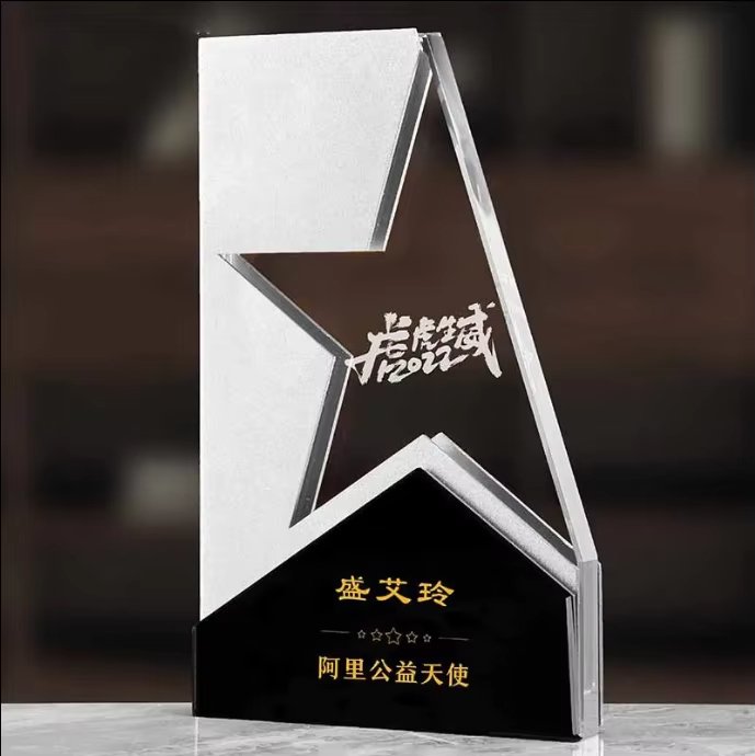 Metal Star Trophy Plaque Custom-04