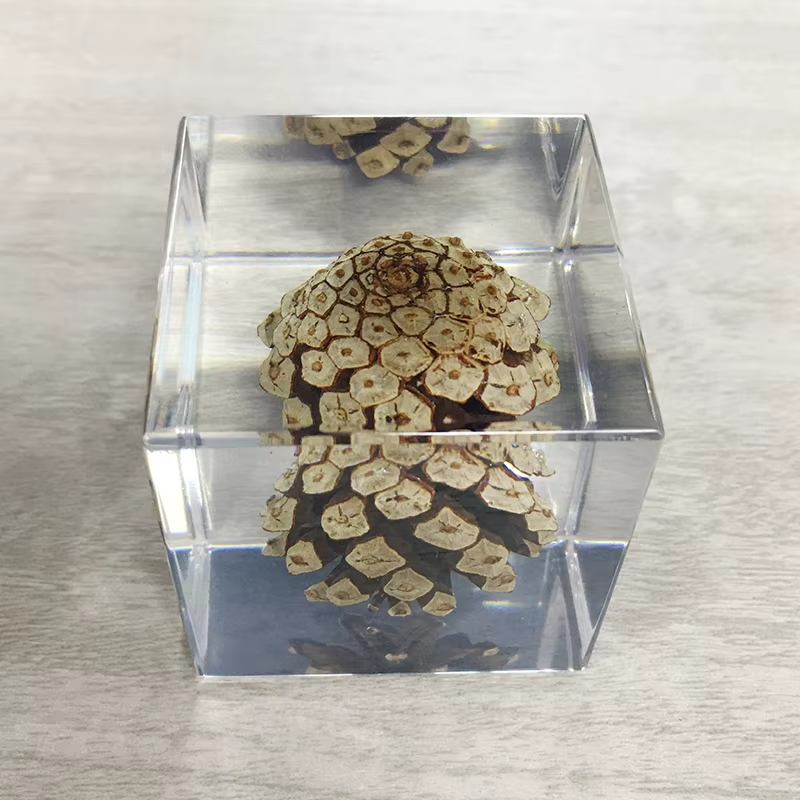 标本抗氧化显示自定义-01