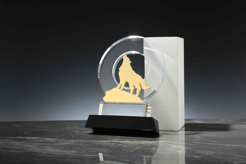Wolf Awards 2-6