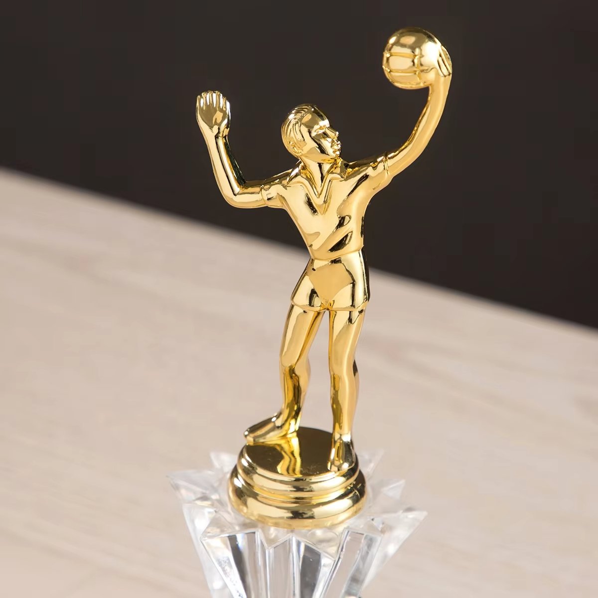 awards for volleyball banquet​ 16-2