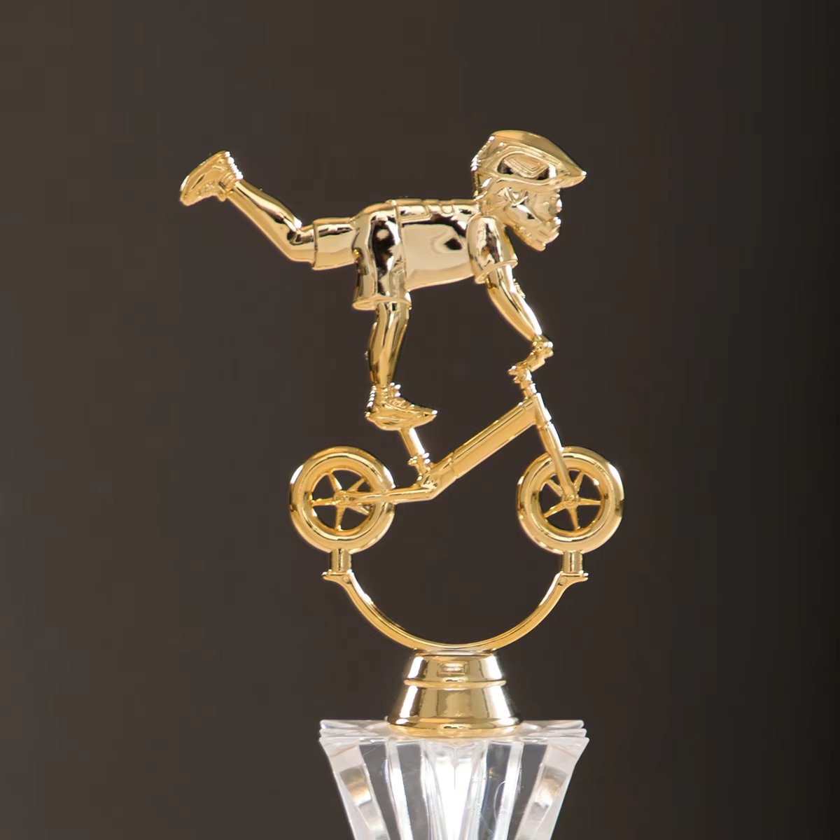 bicycle trophies​ 6-5