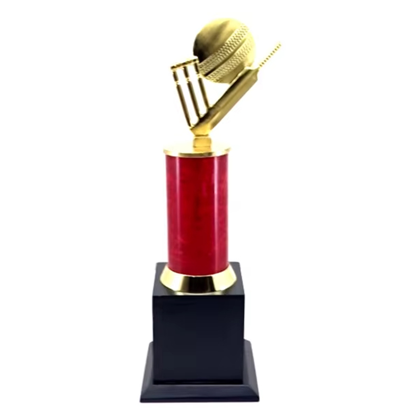 cricket world cup Awards2