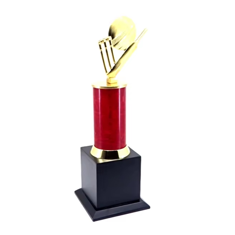 cricket world cup Awards3