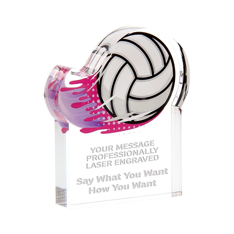 custom Volleyball trophy 04