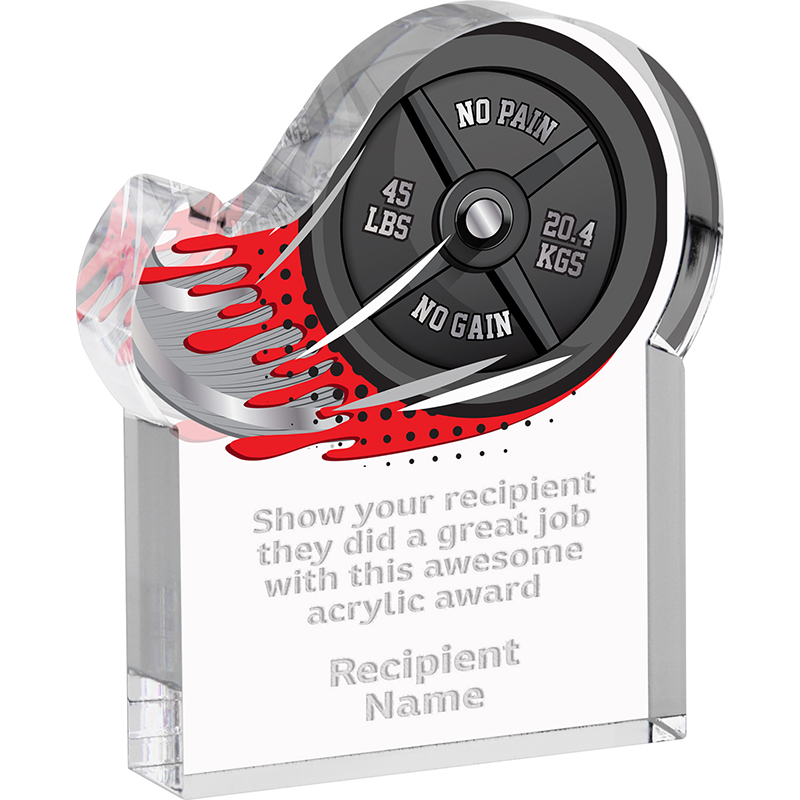custom acrylic awards​ 03