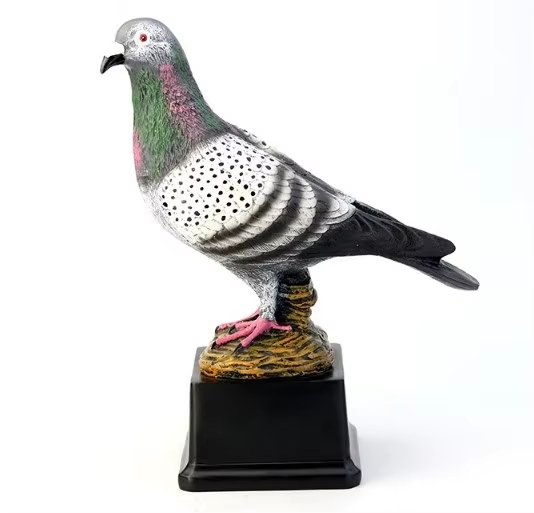 dove award​ 10-2