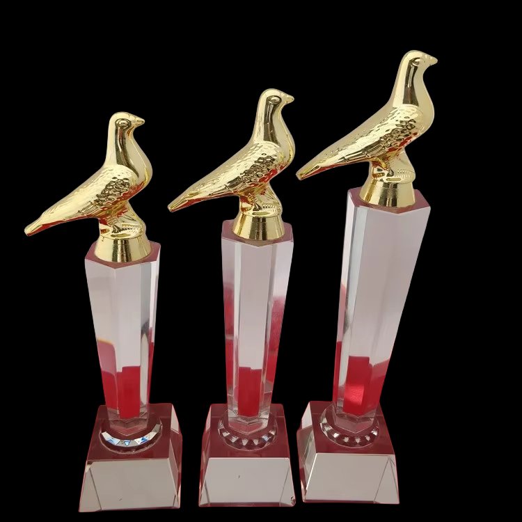 dove trophy custom 16-1