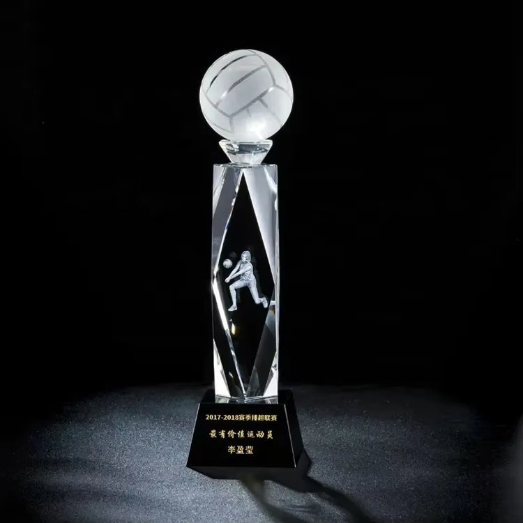 fun volleyball awards​ 8-1