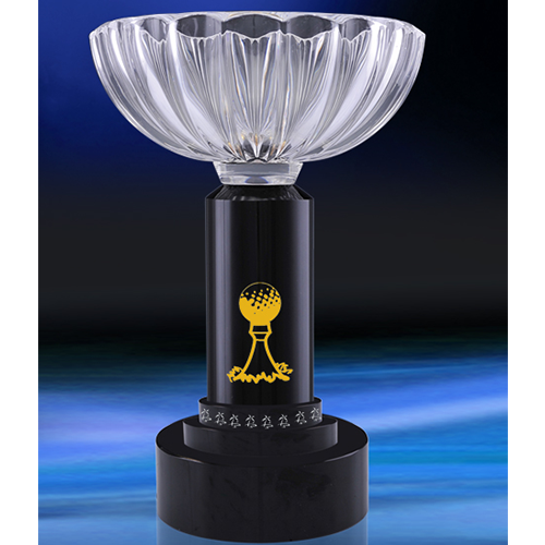hole in one golf ball trophy​45