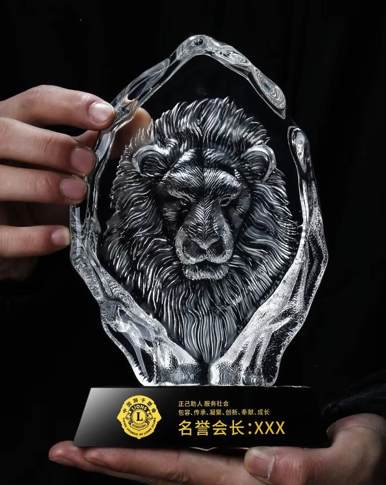 lion king awards​ 6-3