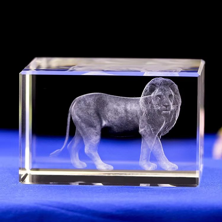 lions club awards​ 13-3