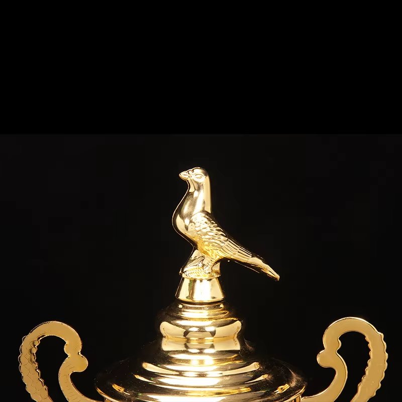pigeon award​ 6-3