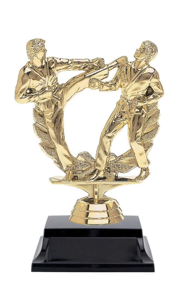taekwondo trophy​ 4-3