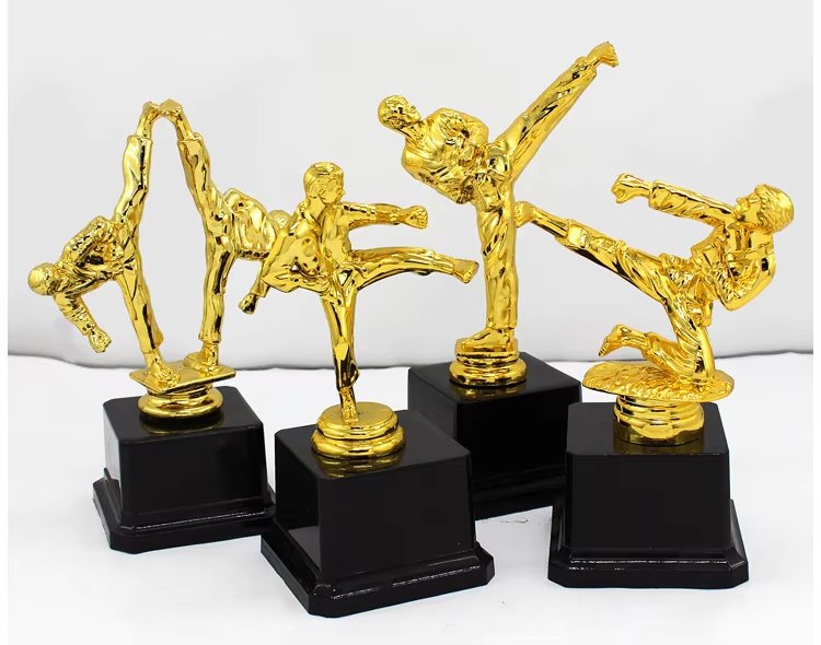 taekwondo trophy​ 8-3