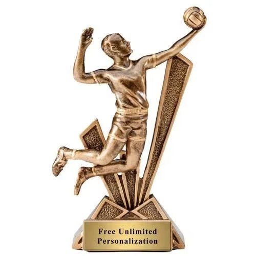 volleyball awards for banquet​ 11-2