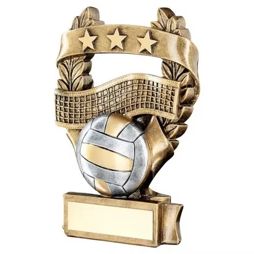 volleyball awards for banquet​ 11-3