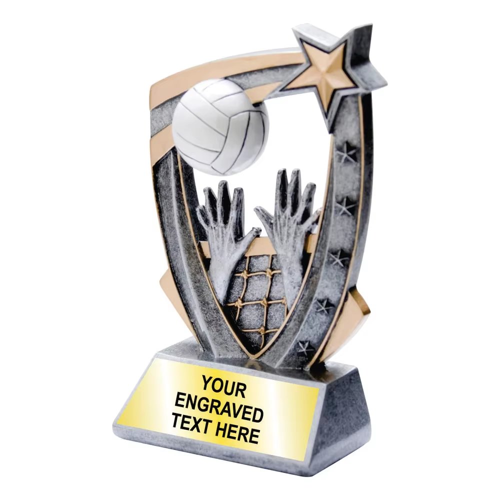 volleyball awards for banquet​ 11-4