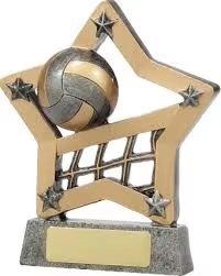 volleyball awards for banquet​ 11-5