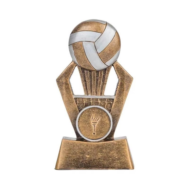 volleyball awards for banquet​ 11-6