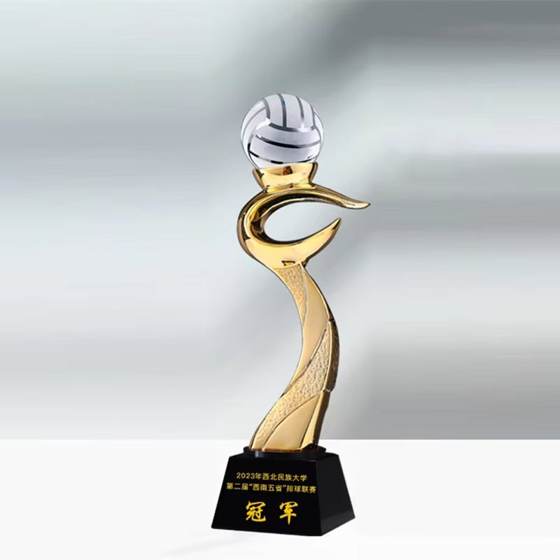 volleyball banquet awards​ 14-1