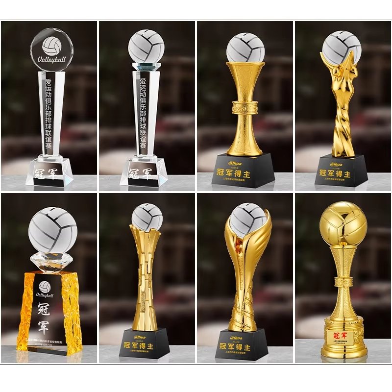 volleyball banquet awards​ 14-6