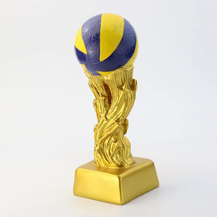 volleyball end of season award ideas​ 15-1