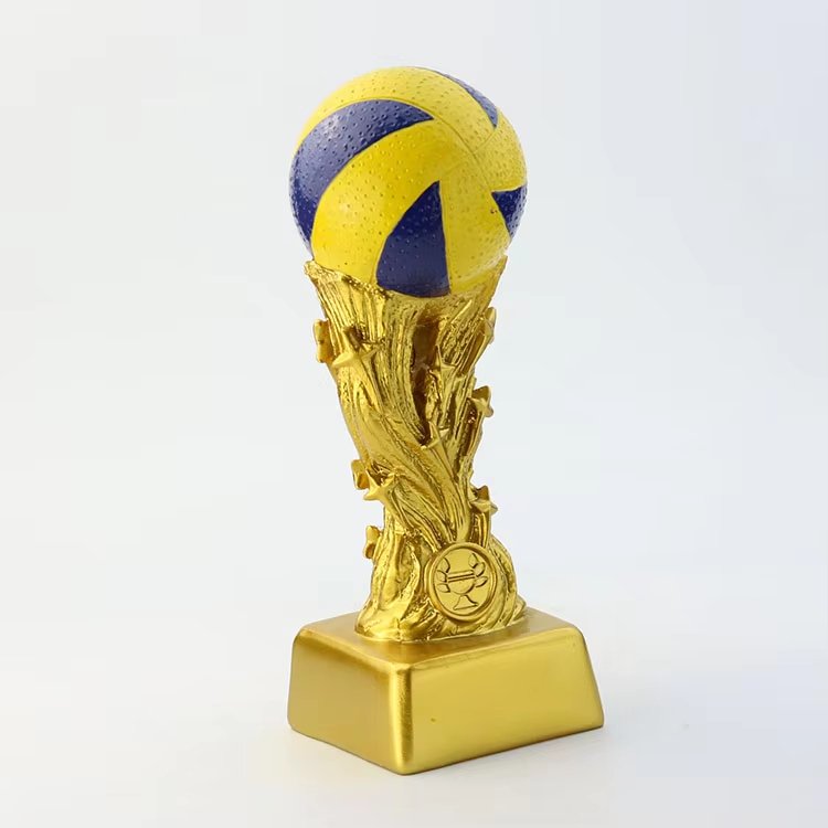 volleyball end of season award ideas​ 15-3