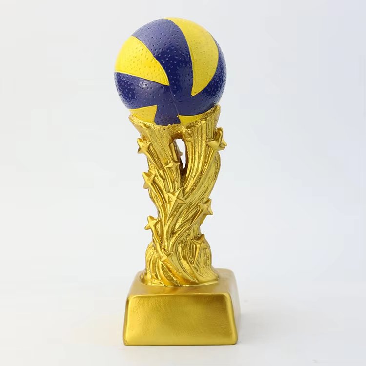 volleyball end of season award ideas​ 15-4