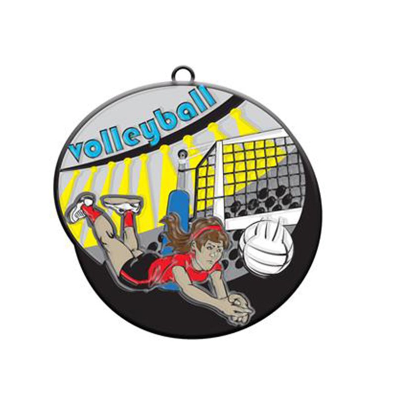 volleyball medal​ 9-2