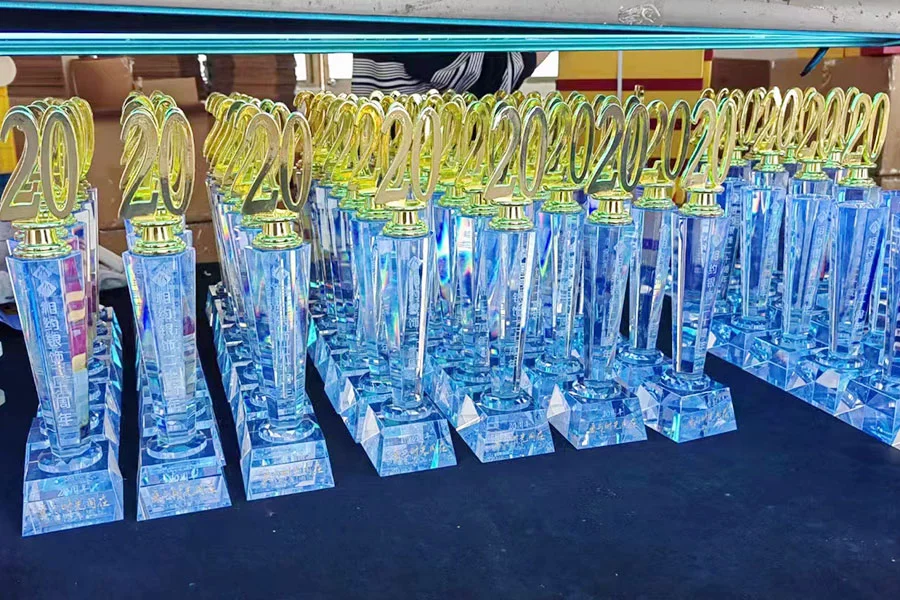 20 Years Trophy