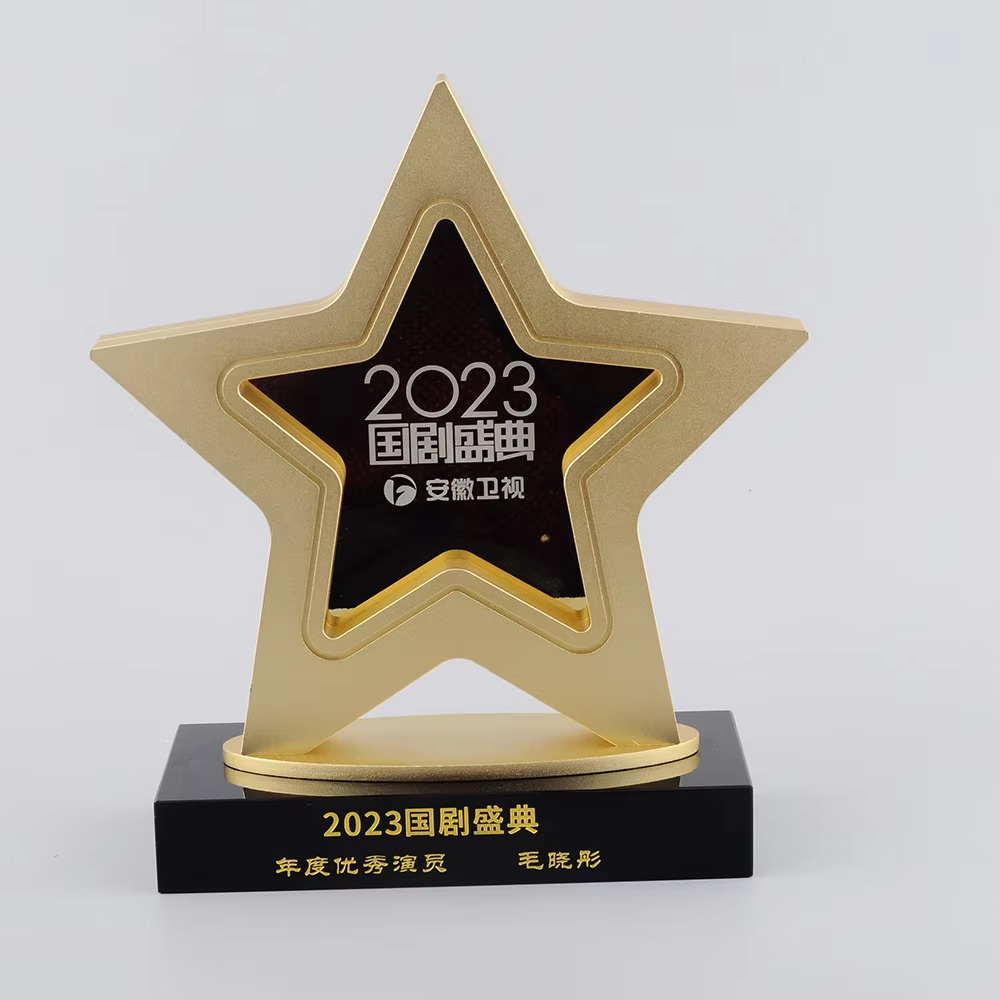 Actor of the Year Award2