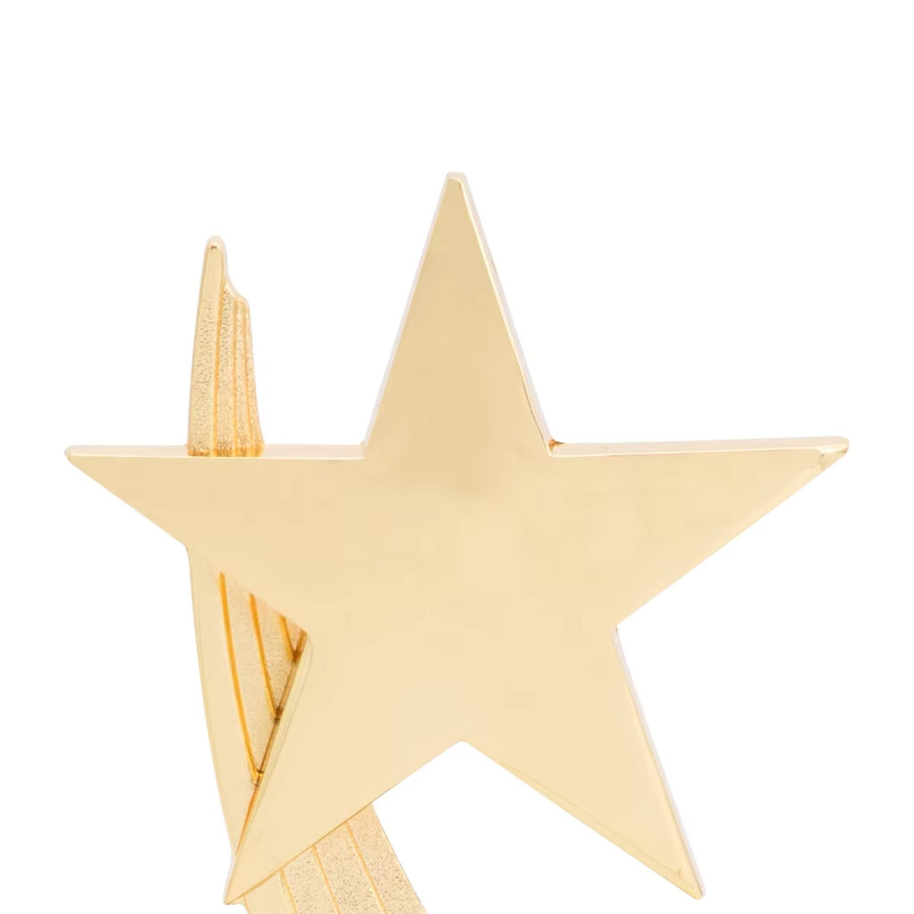 Excellent Company Star Trophy2